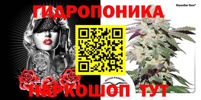 spice Жуковский