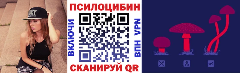 blacksprut сайт  даркнет клад  Псилоцибиновые грибы GOLDEN TEACHER  Нефтекумск 