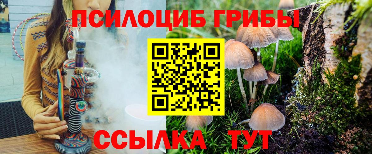 Псилоцибиновые грибы Psilocybine cubensis Нефтекумск