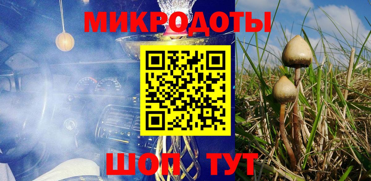 Галлюциногенные грибы Psilocybe  Галлюциногенные грибы Magic Shrooms  Нефтекумск  Вход с VPN 