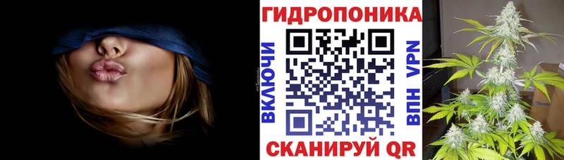 блэк спрут ССЫЛКА Нефтекумск МАРИХУАНА AK-47